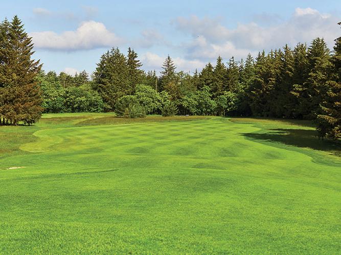 PM 45 Tee and Fairway plus
